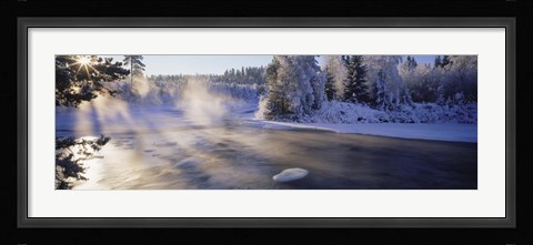 Framed Snow covered laden trees, Dal River, Sweden Print