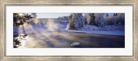Framed Snow covered laden trees, Dal River, Sweden Print