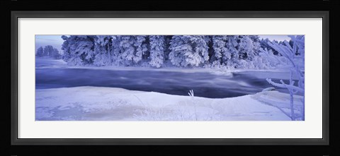 Framed River flowing through a snow covered forest, Dal River, Sweden Print