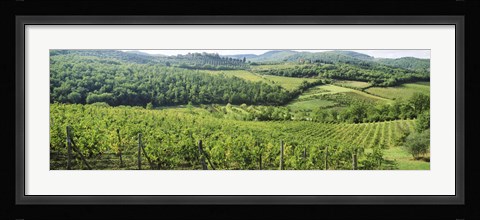 Framed Vineyards in Chianti Region, Tuscany, Italy Print