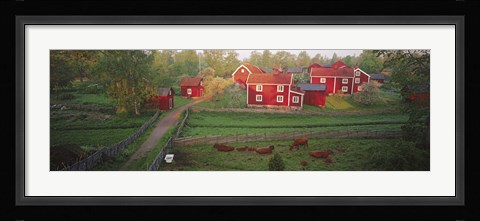 Framed Traditional red farm houses and barns at village, Stensjoby, Smaland, Sweden Print