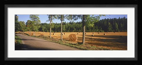 Framed Hay bales in a field, Flens, Sweden Print