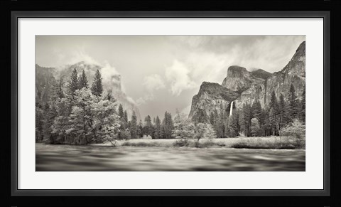 Framed River flowing through a forest, Merced River, Yosemite Valley, Yosemite National Park, California, USA Print