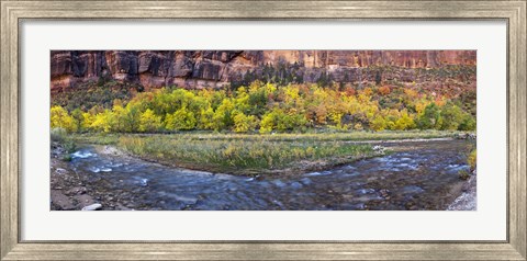 Framed Virgin River at Big Bend, Zion National Park, Springdale, Utah, USA Print