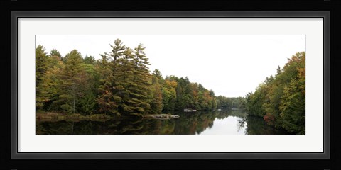 Framed Reflection of trees in the Musquash River, Muskoka, Ontario, Canada Print