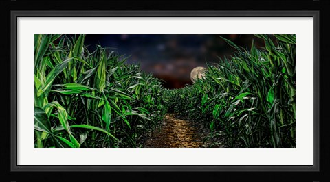 Framed Dark corn field Print