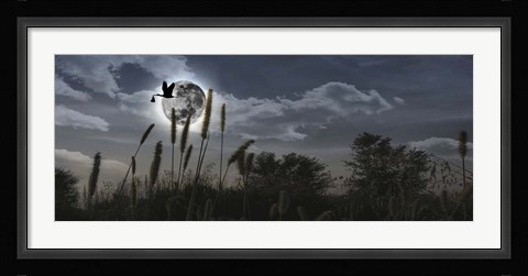 Framed Stork flying with baby in beak over moon Print