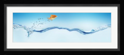 Framed Goldfish jumping out of water Print