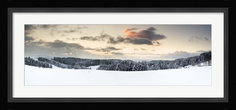 Framed Trees on a snow covered hill, Black Forest, Baden-Wurttemberg, Germany Print
