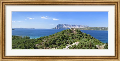 Framed Trees on a hill, Capo Coda Cavallo, Baronia, Sardinia, Italy Print