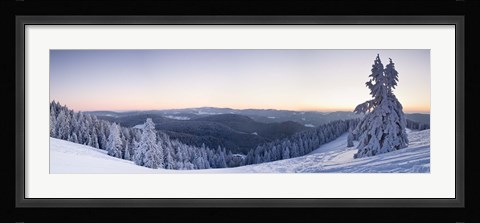 Framed Snow covered trees on a hill, Belchen Mountain, Black Forest, Baden-Wurttemberg, Germany Print