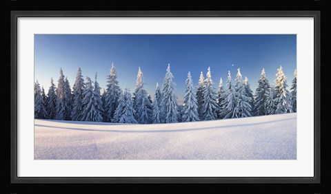 Framed Snow covered trees on a landscape, Belchen Mountain, Black Forest, Baden-Wurttemberg, Germany Print
