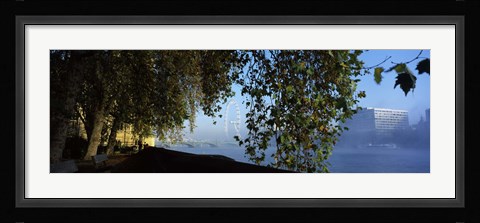 Framed Ferris wheel looking viewed through trees, Millennium Wheel, Thames River, South Bank, London, England Print