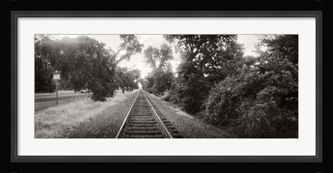 Framed Railroad track, Napa Valley, California, USA Print