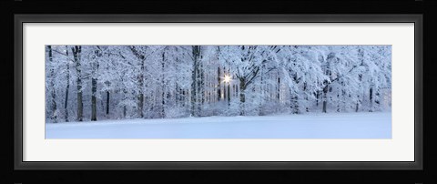 Framed Forest in winter at sunrise, Swabian Alb, Baden-Wurttemberg, Germany Print