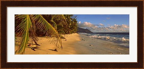 Framed Palm trees on the edge of a small beach, Seychelles Print