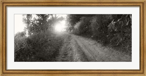 Framed Dirt road through a forest, Chiang Mai Province, Thailand (black and white) Print
