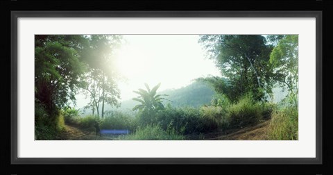 Framed Man with a slingshot in a forest, Chiang Mai, Thailand Print
