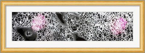 Framed Bubbles and pink flower petals Print