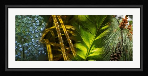 Framed Leaves with rain drops Print