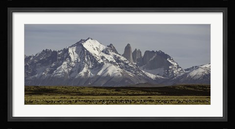 Framed Field with snowcapped mountains, Paine Massif, Torres del Paine National Park, Magallanes Region, Patagonia, Chile Print