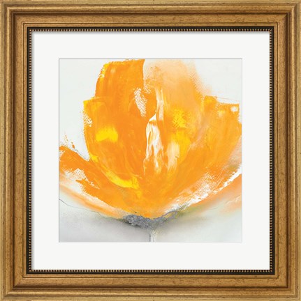 Framed Wild Orange Sherbet II Print
