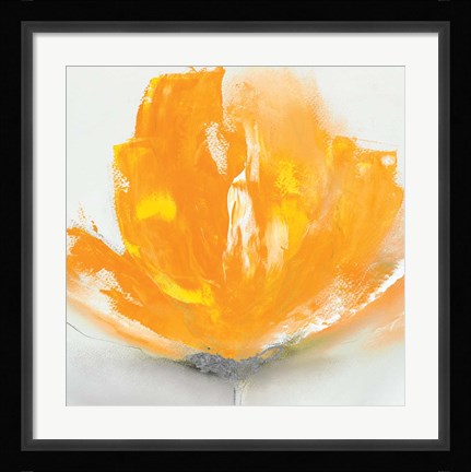 Framed Wild Orange Sherbet II Print