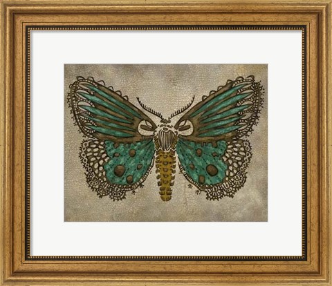 Framed Lace Wing I Print