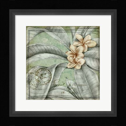 Framed Postmark Tropicals I Print