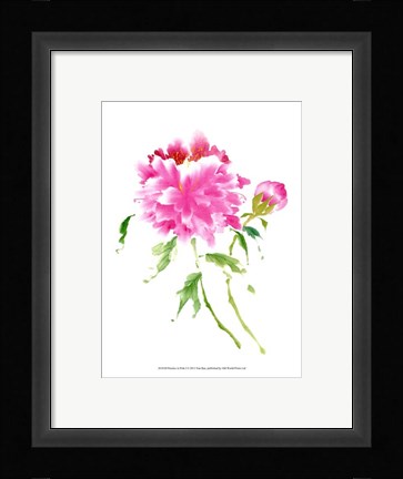 Framed Peonies in Pink I Print