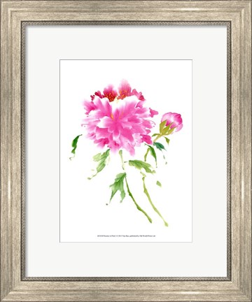 Framed Peonies in Pink I Print