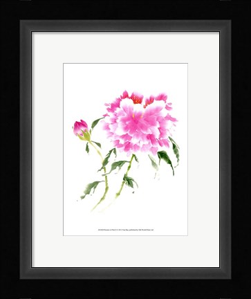 Framed Peonies in Pink II Print