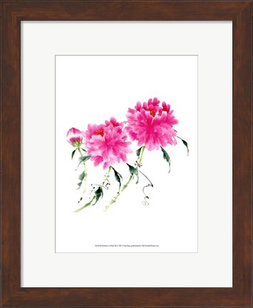 Framed Peonies in Pink III Print