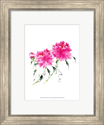 Framed Peonies in Pink III Print