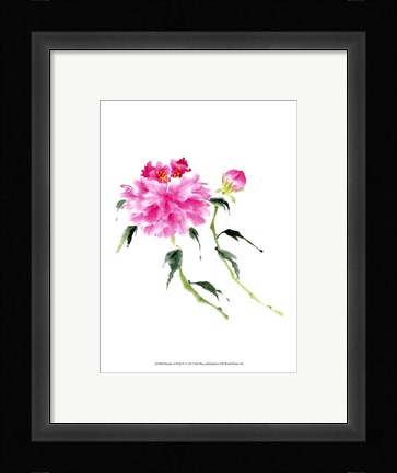 Framed Peonies in Pink IV Print