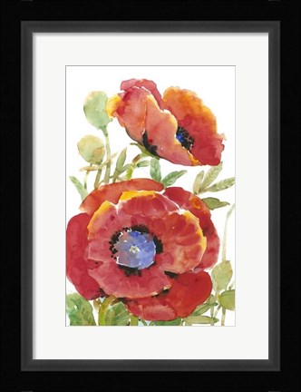 Framed Poppy Floral II Print
