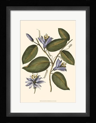 Framed Lavender Floral III Print