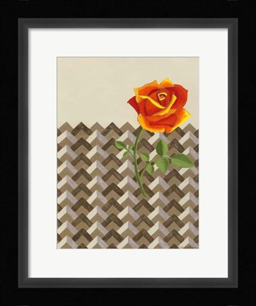 Framed Rosa Dawn II Print