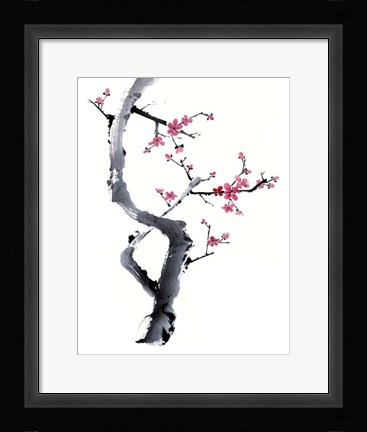 Framed Plum Blossom Branch I Print