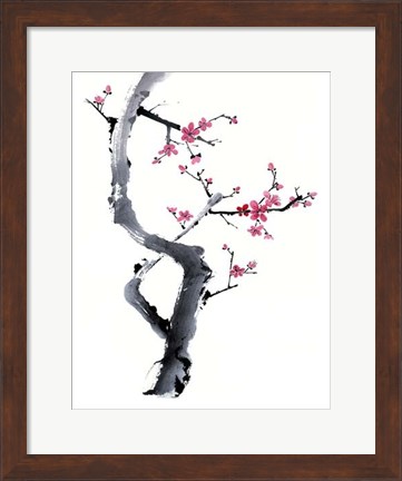 Framed Plum Blossom Branch I Print