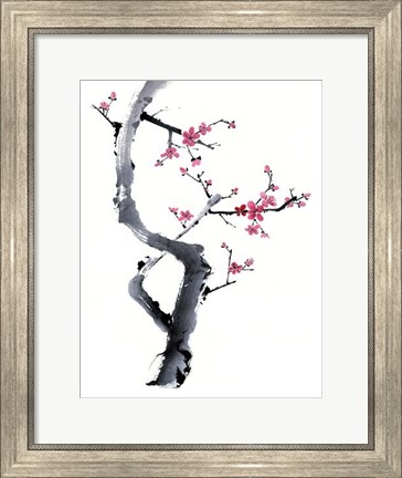 Framed Plum Blossom Branch I Print