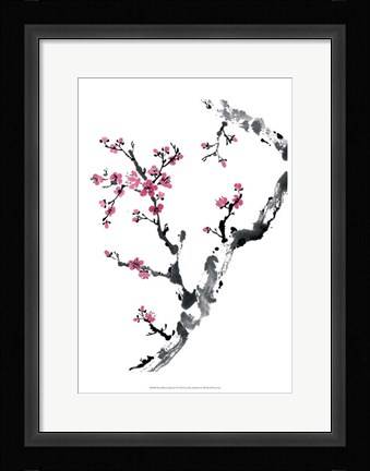 Framed Plum Blossom Branch II Print