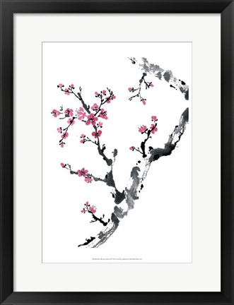 Framed Plum Blossom Branch II Print