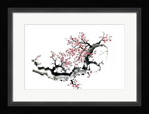 Framed Plum Blossom Branch III Print