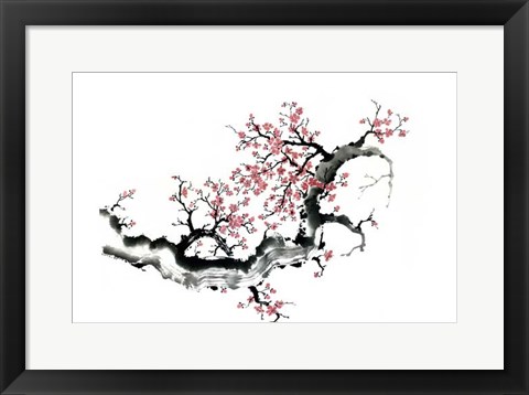 Framed Plum Blossom Branch III Print
