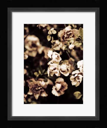 Framed Romantic Roses I Print