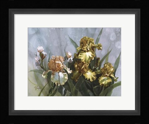 Framed Hadfield Irises I Print