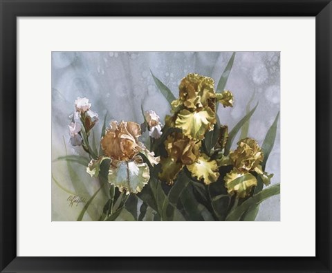 Framed Hadfield Irises I Print