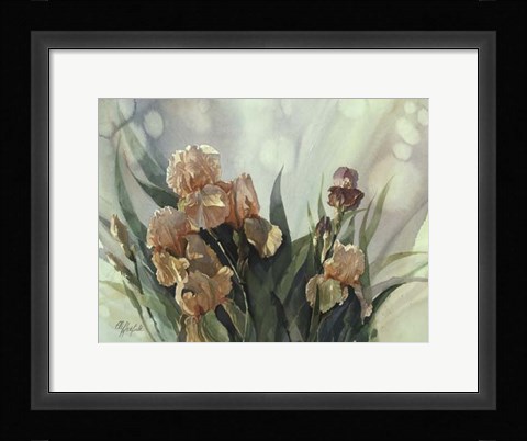 Framed Hadfield Irises II Print