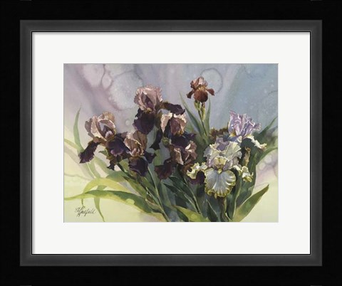 Framed Hadfield Irises IV Print